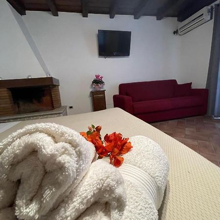 La Casetta Di Antonietta Fiumicino Buitenkant foto