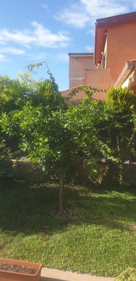 La Casetta Di Antonietta Fiumicino Buitenkant foto